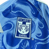Tigres Alternativa 25/26