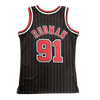 Chicago Bulls 1995-96 | NBA